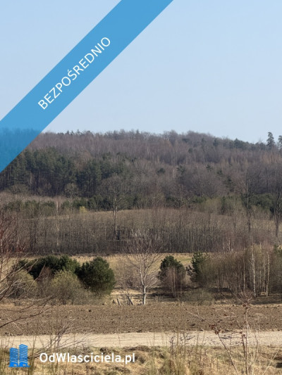 Działka siedliskowabudowlana - Sopieszyno  - pomorskie