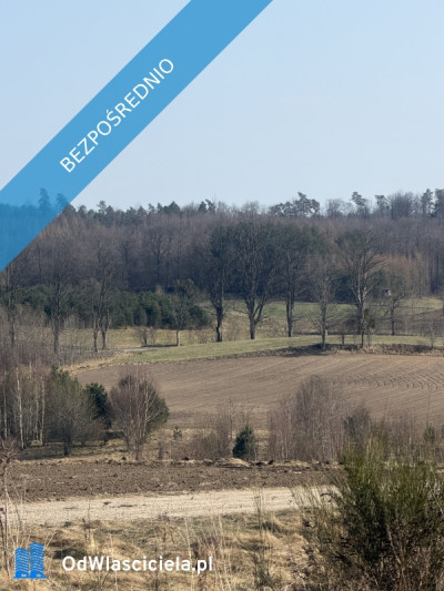 Działka siedliskowabudowlana - Sopieszyno  -
pomorskie Zdjęcie nr 2