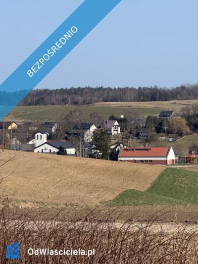 Działka siedliskowabudowlana - Sopieszyno  -
pomorskie Zdjęcie nr 3