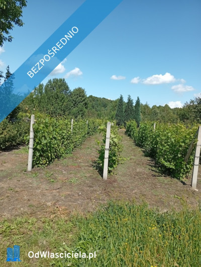 sprzedam działkę budowlaną - Ludwinów  -
śląskie Zdjęcie nr 3