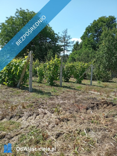 sprzedam działkę budowlaną - Ludwinów  -
śląskie Zdjęcie nr 5