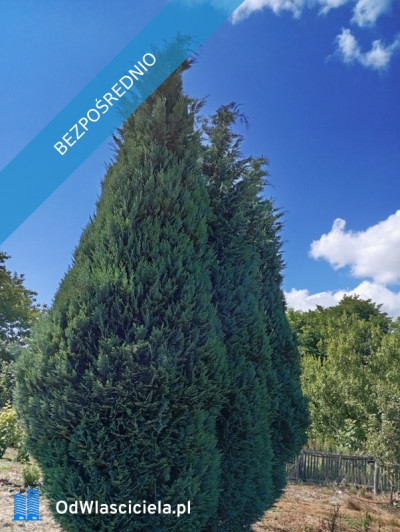 sprzedam działkę budowlaną - Ludwinów  -
śląskie Zdjęcie nr 7