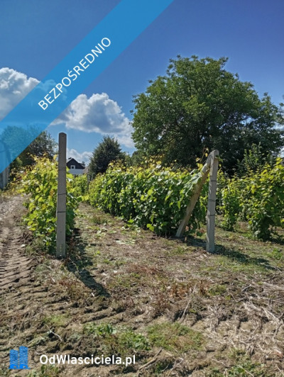 Sprzedam działkę budowlaną  - Ludwinów  -
śląskie Zdjęcie nr 11