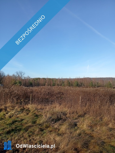 Sprzedam działkę budowlaną  - Ludwinów  -
śląskie Zdjęcie nr 3