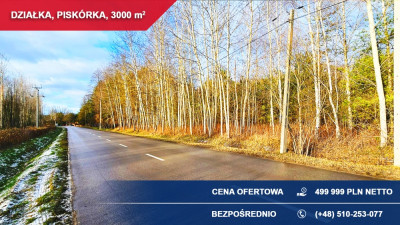 Działka budowlana 3000 m PRZY LESIE  Piskórka gm Prażmów - Piskórka  -
mazowieckie Zdjęcie nr 4
