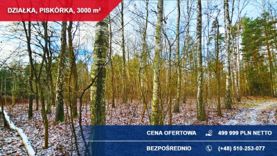 Działka budowlana 3000 m PRZY LESIE  Piskórka gm Prażmów - Piskórka  -
mazowieckie Zdjęcie nr 6