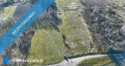 Syndyk sprzeda Udział w Nieruchomościach w Łękach Dukielskich - Łęki Dukielskie  - podkarpackie