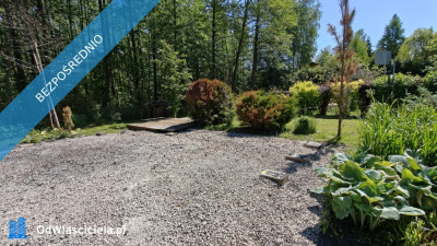 Działka ROD Biała Brzoza - Wola Prażmowska  -
mazowieckie Zdjęcie nr 2