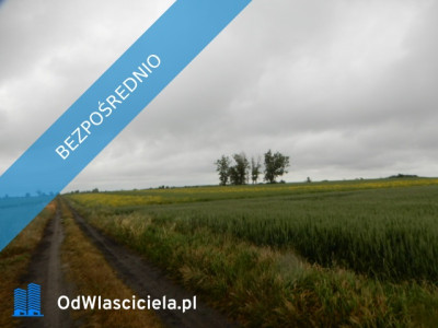 Syndyk sprzeda udział 18 Oborzany działki nr 240 nr 459 nr 505 - cena 40 wartości oszacowania  - Oborzany  -
zachodniopomorskie Zdjęcie nr 5