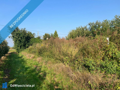 SUPER DZIAŁKA BUDOWLANA okolice Czerska - Brzumin  -
mazowieckie Zdjęcie nr 3