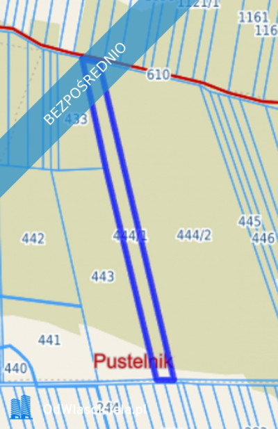Las sosnowy 50-letni pastwiska 9111 m Pustelnik - Pustelnik  -
mazowieckie Zdjęcie nr 8
