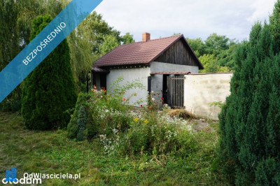 Sprzedam - Siemienice  -
łódzkie Zdjęcie nr 5