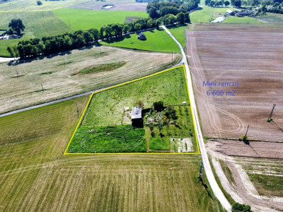 Mini ranczo pośród jezior  Buk Góralski  Pojezierze Brodnickie - Brodnica  -
kujawsko-pomorskie Zdjęcie nr 6