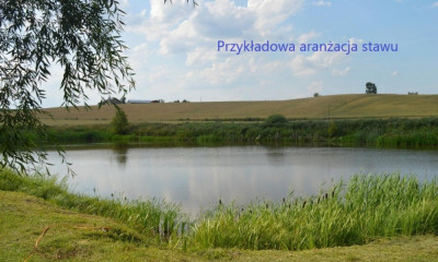 Mini ranczo pośród jezior  Buk Góralski  Pojezierze Brodnickie - Brodnica  -
kujawsko-pomorskie Zdjęcie nr 7