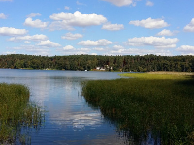 Działka rekreacyjna 1950 m2  dom  100 metrów jezioro Głowińskie - Brodnica  -
kujawsko-pomorskie Zdjęcie nr 2