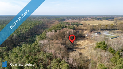 Działka przy lesie nad Zalewem Szczecińskim z warunkami - Nowe Warpno  -
zachodniopomorskie Zdjęcie nr 7