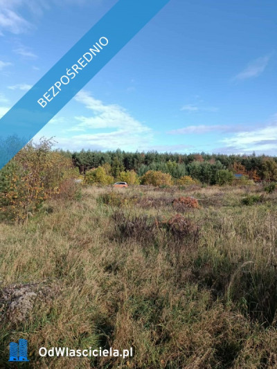 JUSZOWICE gmina Rudna KLIMATYCZNA DZIAŁKA z MPZP - Juszowice  -
dolnośląskie Zdjęcie nr 10