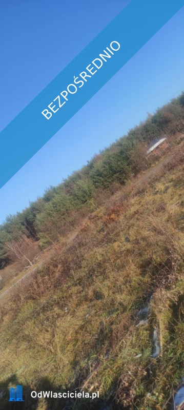 JUSZOWICE gmina Rudna KLIMATYCZNA DZIAŁKA z MPZP - Juszowice  -
dolnośląskie Zdjęcie nr 13