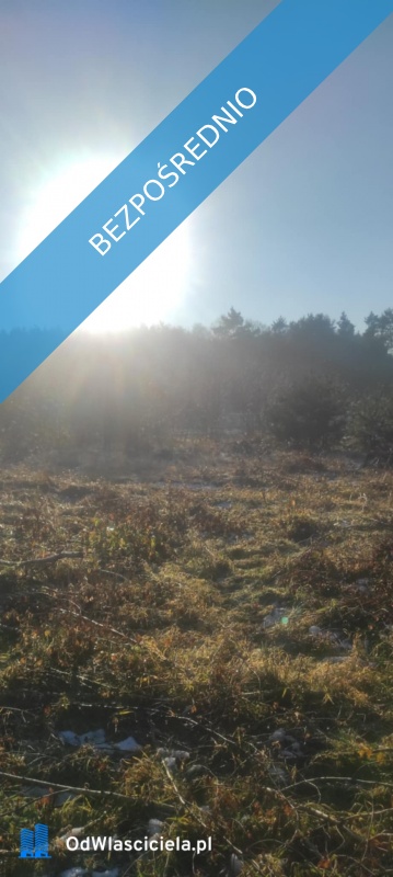 JUSZOWICE gmina Rudna KLIMATYCZNA DZIAŁKA z MPZP - Juszowice  - dolnośląskie