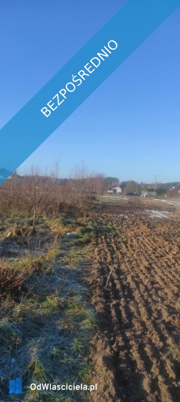 JUSZOWICE gmina Rudna KLIMATYCZNA DZIAŁKA z MPZP - Juszowice  -
dolnośląskie Zdjęcie nr 2