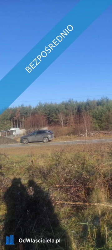 JUSZOWICE gmina Rudna KLIMATYCZNA DZIAŁKA z MPZP - Juszowice  -
dolnośląskie Zdjęcie nr 3