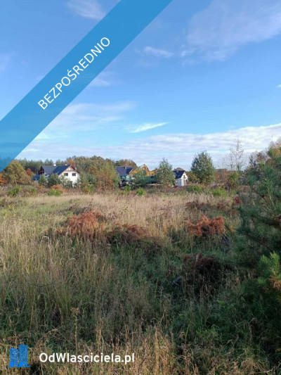 JUSZOWICE gmina Rudna KLIMATYCZNA DZIAŁKA z MPZP - Juszowice  -
dolnośląskie Zdjęcie nr 8