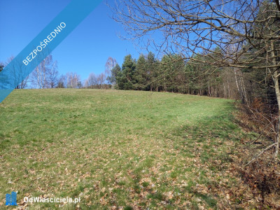 Na sprzedaż działka w Sanoku w dzielnicy Olchowce - Olchowce  -
podkarpackie Zdjęcie nr 8