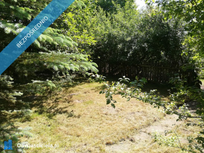 Działka ROD Żeromskiego 300 m - Bocianek  -
świętokrzyskie Zdjęcie nr 7