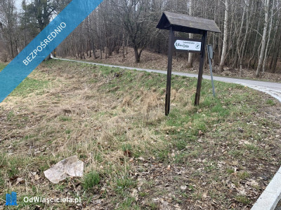 Działka 133 ha z brzegiem Jeziora Dużego Orle pow kościerski i warunkami zabudowy - Liniewo  -
pomorskie Zdjęcie nr 10