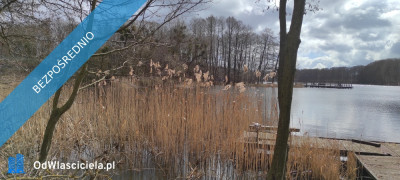 Działka 133 ha z brzegiem Jeziora Dużego Orle pow kościerski i warunkami zabudowy - Liniewo  -
pomorskie Zdjęcie nr 4