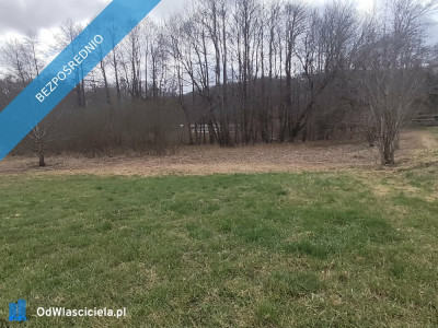 Działka 133 ha z brzegiem Jeziora Dużego Orle pow kościerski i warunkami zabudowy - Liniewo  -
pomorskie Zdjęcie nr 5