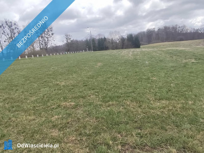 Działka 133 ha z brzegiem Jeziora Dużego Orle pow kościerski i warunkami zabudowy - Liniewo  -
pomorskie Zdjęcie nr 7