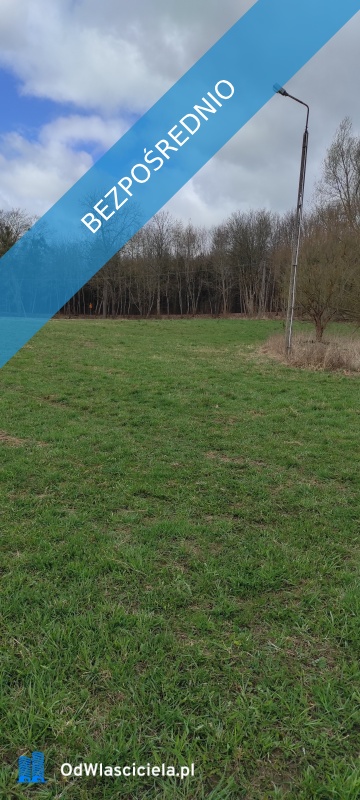 Działka 133 ha z brzegiem Jeziora Dużego Orle pow kościerski i warunkami zabudowy - Liniewo  -
pomorskie Zdjęcie nr 8