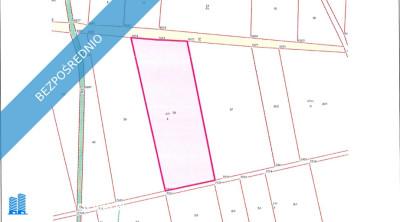 Syndyk sprzeda działki rolne - Strupice  -
dolnośląskie Zdjęcie nr 3