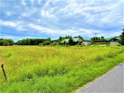 Działka budowlano-rolna 11 800 m2 m2 w gm Radziejowice - Stare Budy Radziejowskie  -
mazowieckie Zdjęcie nr 9