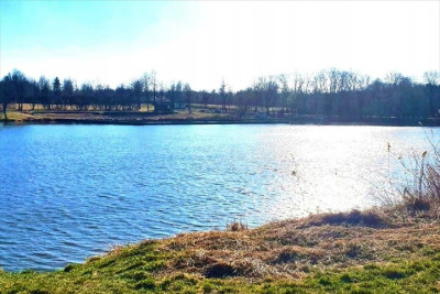 Działka budowlano-rolna 11 800 m2 m2 w gm Radziejowice - Stare Budy Radziejowskie  -
mazowieckie Zdjęcie nr 10