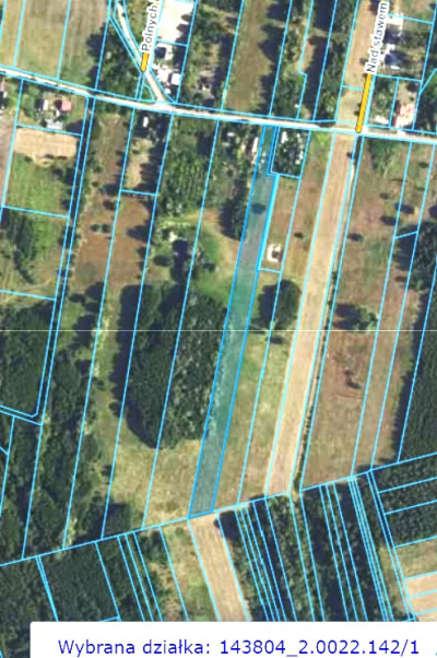 Działka budowlano-rolna 11 800 m2 m2 w gm Radziejowice - Stare Budy Radziejowskie  - mazowieckie