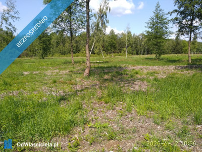 Działka przy parku krajobrazowym - Mrozy  -
mazowieckie Zdjęcie nr 3