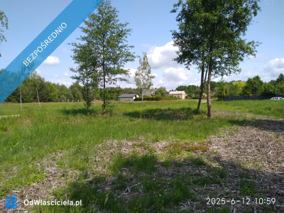 Działka przy parku krajobrazowym - Mrozy  -
mazowieckie Zdjęcie nr 8