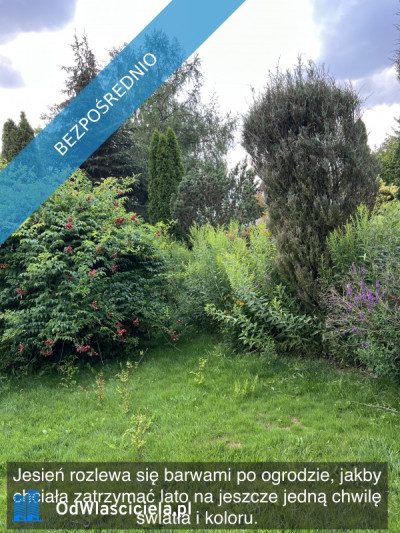 Działka rekreacyjna z domkiem w ROD Kaczeniec - Ząbki koło Warszawy - Ząbki  -
mazowieckie Zdjęcie nr 11