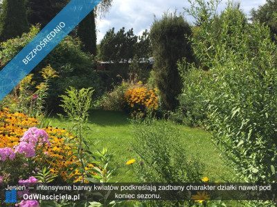 Działka rekreacyjna z domkiem w ROD Kaczeniec - Ząbki koło Warszawy - Ząbki  -
mazowieckie Zdjęcie nr 14