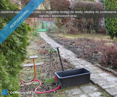 Działka rekreacyjna z domkiem w ROD Kaczeniec - Ząbki koło Warszawy - Ząbki  -
mazowieckie Zdjęcie nr 15