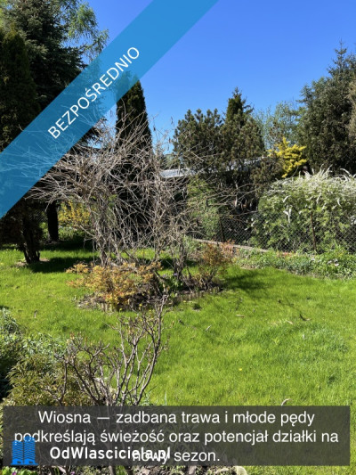 Działka rekreacyjna z domkiem w ROD Kaczeniec - Ząbki koło Warszawy - Ząbki  -
mazowieckie Zdjęcie nr 6