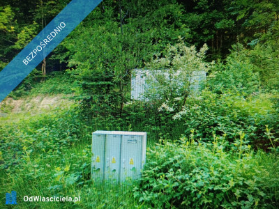 Działka udowlana w zagórniku - Zagórnik  -
małopolskie Zdjęcie nr 10