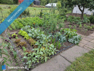 Działka ROD z domkiem 2026  Aleksandrów Kujawski - Aleksandrów Kujawski  -
kujawsko-pomorskie Zdjęcie nr 10