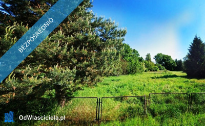Kameralna działka budowlana - Jędrzychów  - dolnośląskie