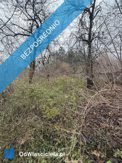 Działka 15957 z budynkami gospodarczymi w Lubomi - Lubomia  -
śląskie Zdjęcie nr 4