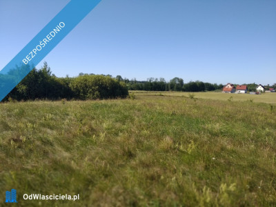 sprzedam   działkę z  bajorkiem  i   na działce rurociąg  wodny - Jesionowo  - warmińsko-mazurskie