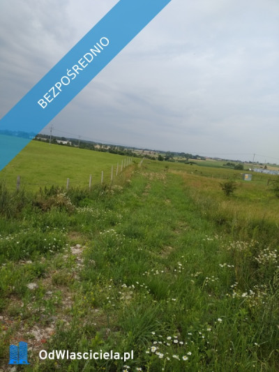 sprzedam   działkę z  bajorkiem  i   na działce rurociąg  wodny - Jesionowo  -
warmińsko-mazurskie Zdjęcie nr 7