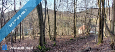 Działka 13 z domem jednorodzinnym do remontu - Góry Bystrzyckie Kotlina Kłodzka - Nowa Bystrzyca  -
dolnośląskie Zdjęcie nr 7